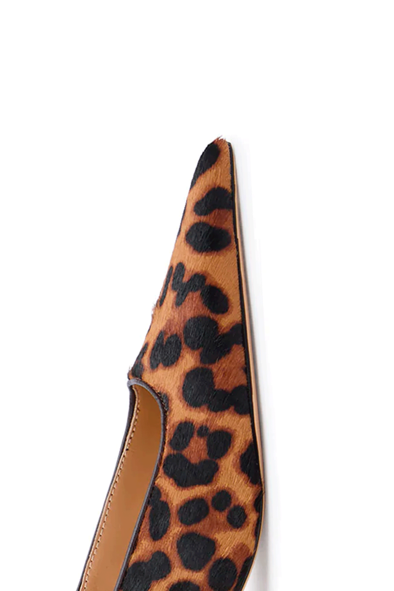 
                  
                    CRUSH LEOPARDO
                  
                