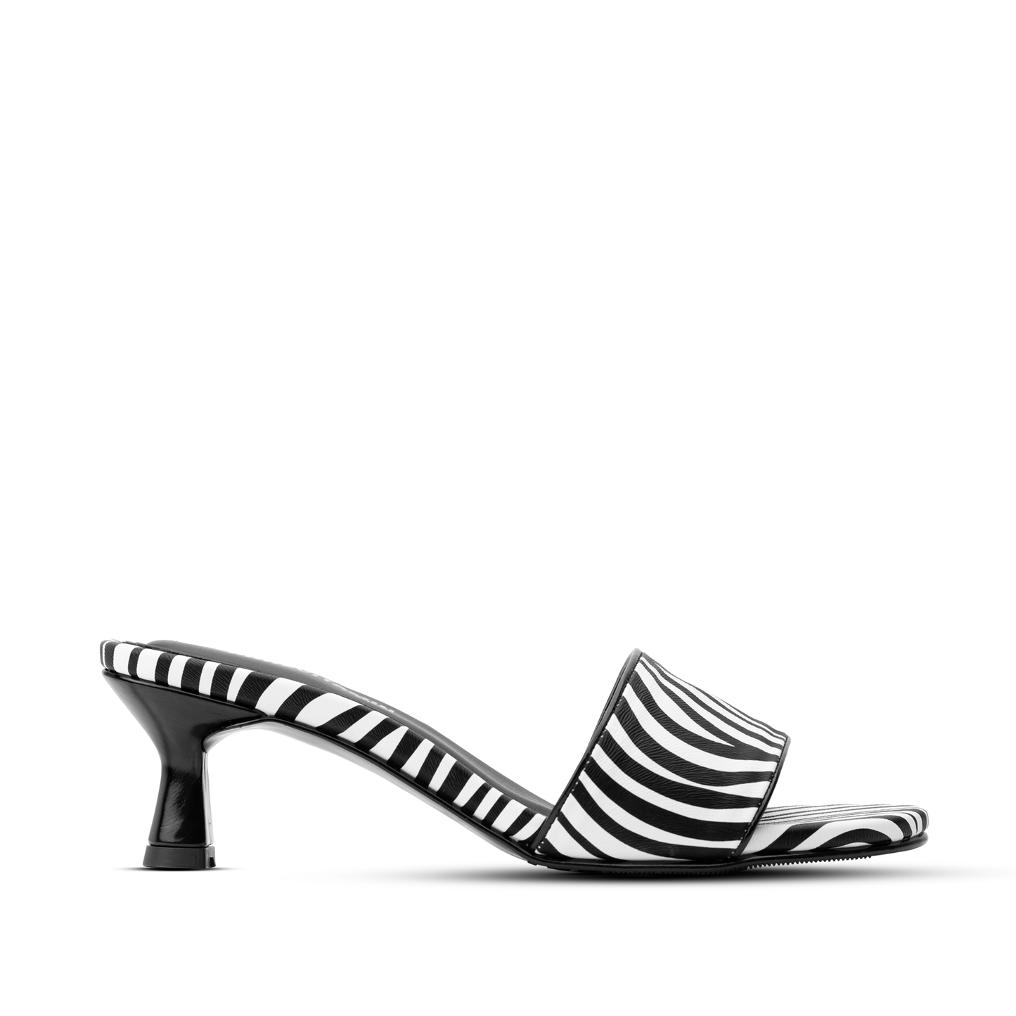 
                  
                    PENNY ZEBRA
                  
                