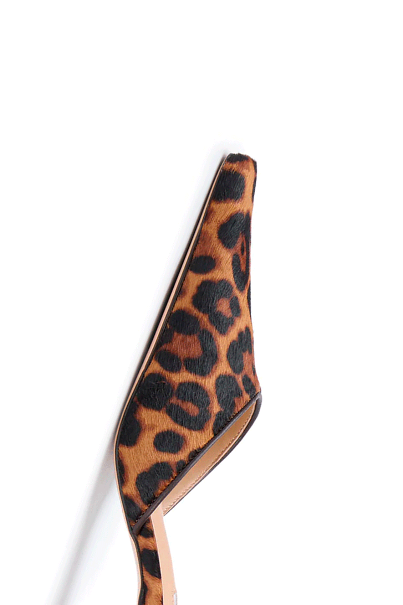 
                  
                    ZUBI LEOPARDO
                  
                